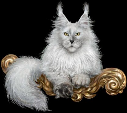 Maine coon kittens for sale in Vermont, Maine Coon cat for sale near me, Maine Coon kitten for sale Vermont